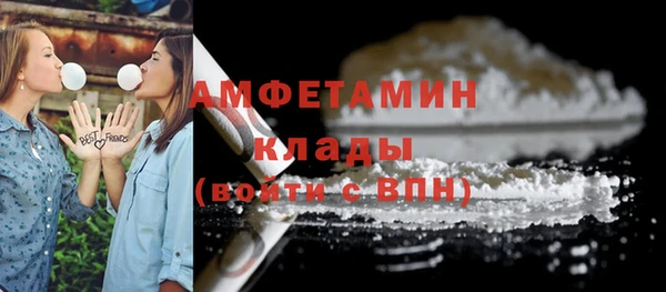 гидра Армянск