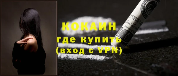 шишки Арсеньев