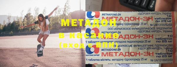 шишки Арсеньев