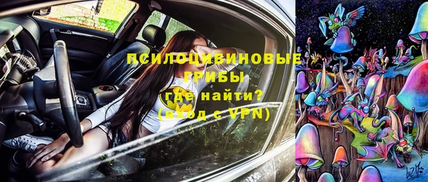 гидра Армянск
